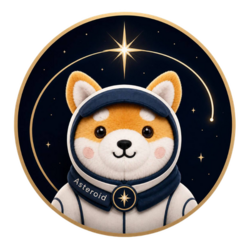 Asteroid The Space Shiba Inu